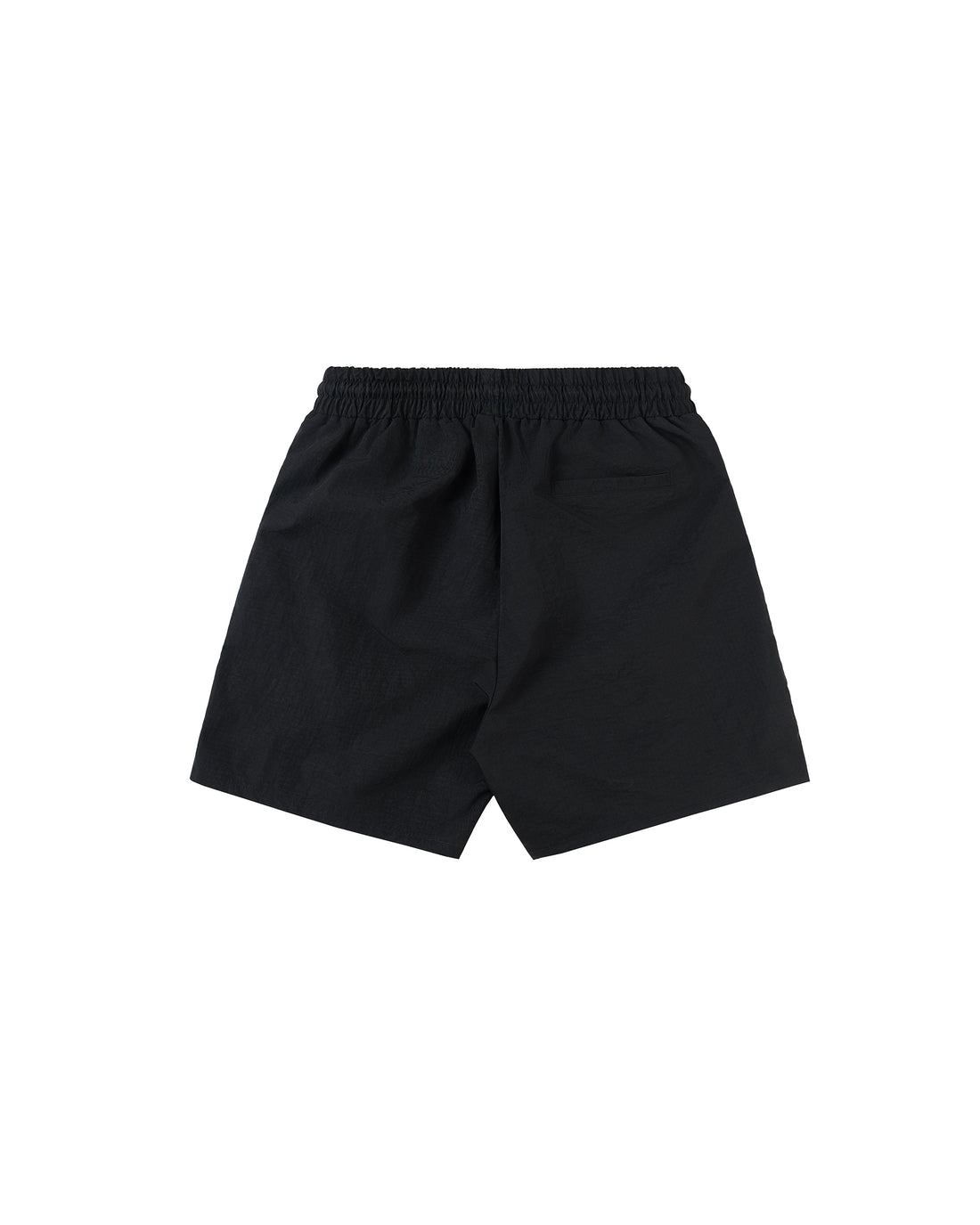 Script Logo Nylon Shorts